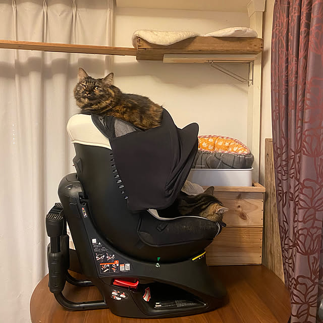 mikomaruさんの実例写真