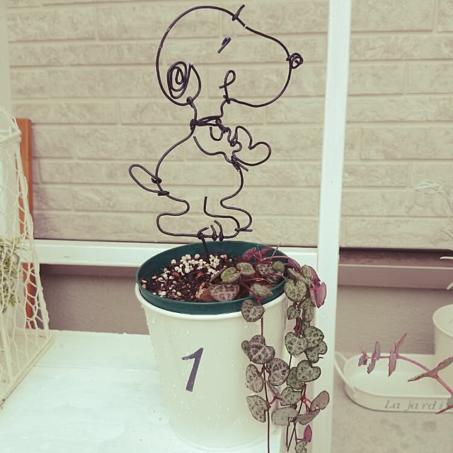 Akieさんの実例写真