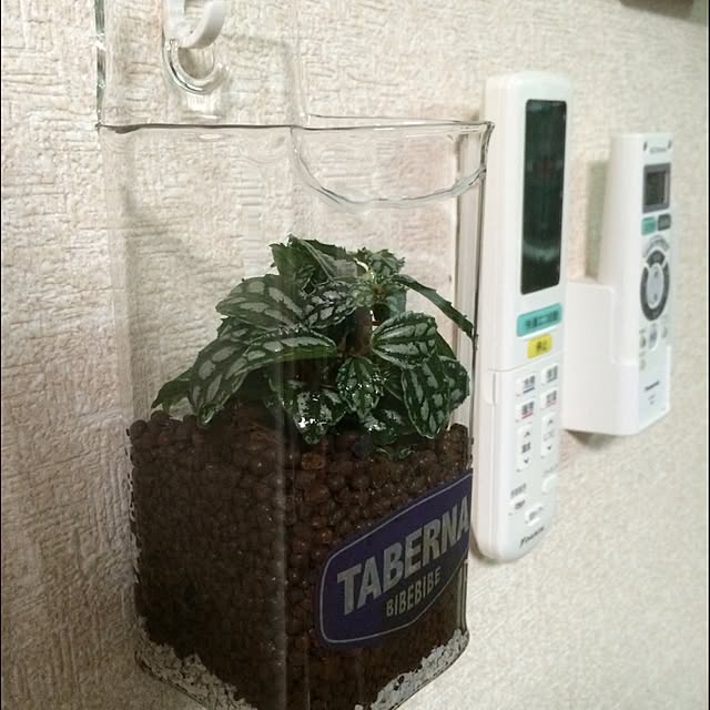 matanさんの実例写真