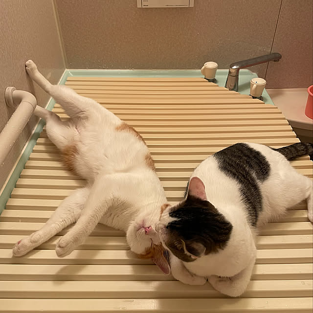 meさんの実例写真