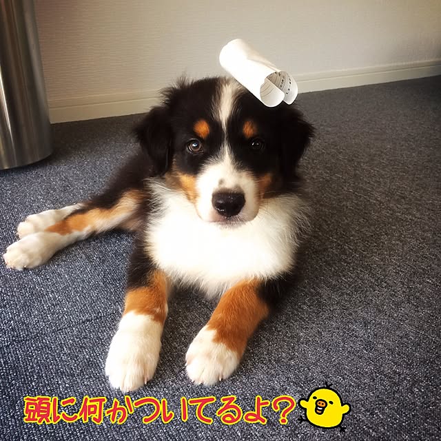 manicRIEさんの実例写真