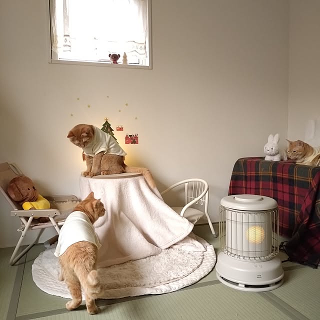 mayutan.さんの部屋