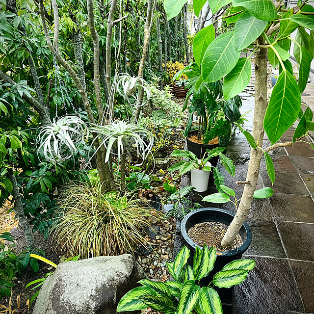 onsix777さんの部屋