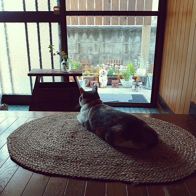 fukuさんの実例写真