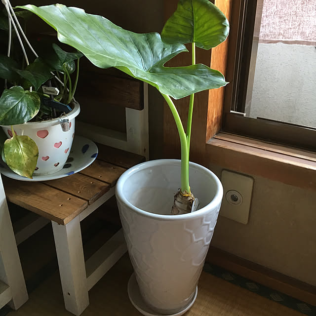 booska.mama.0416.pbさんの実例写真