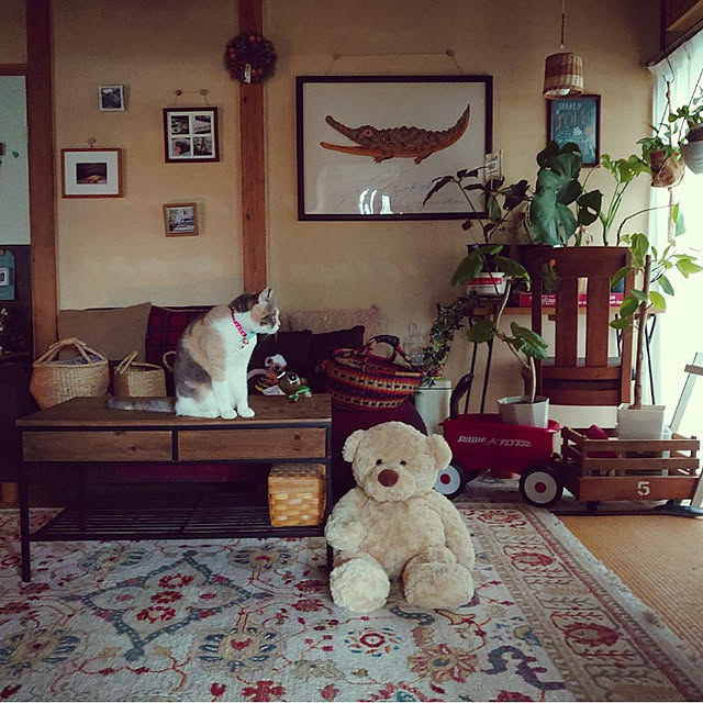 fukuさんの実例写真
