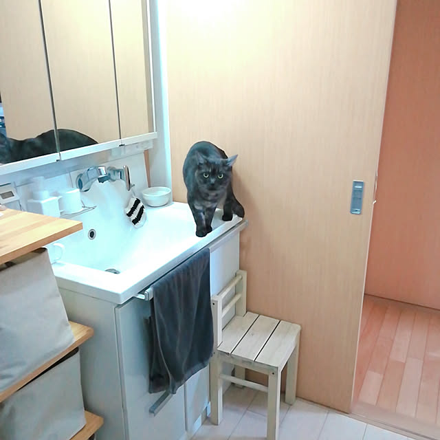 guriさんの実例写真