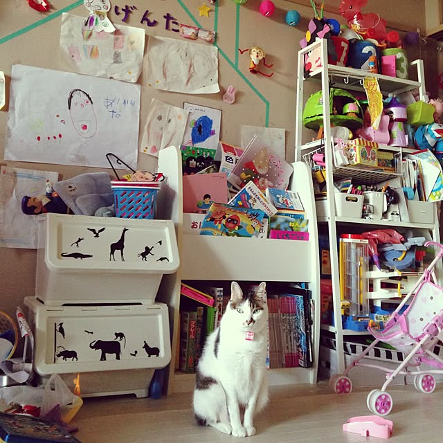 Sakiさんの実例写真
