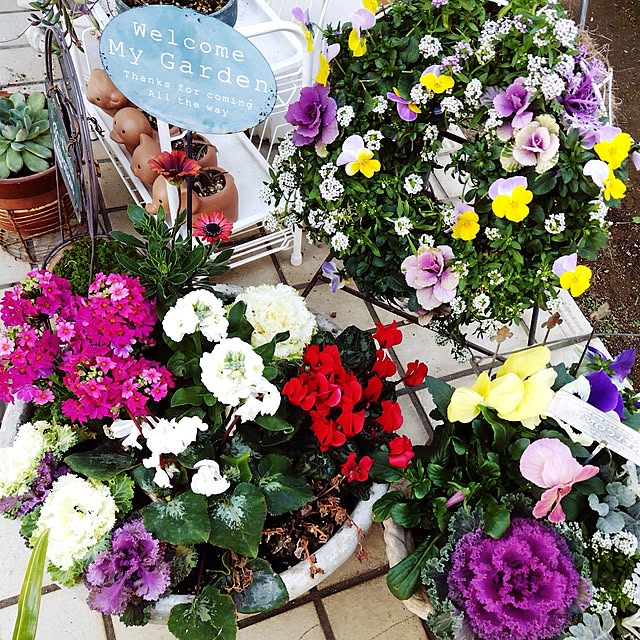 katさんの実例写真