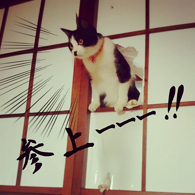 Chomeakiさんの実例写真