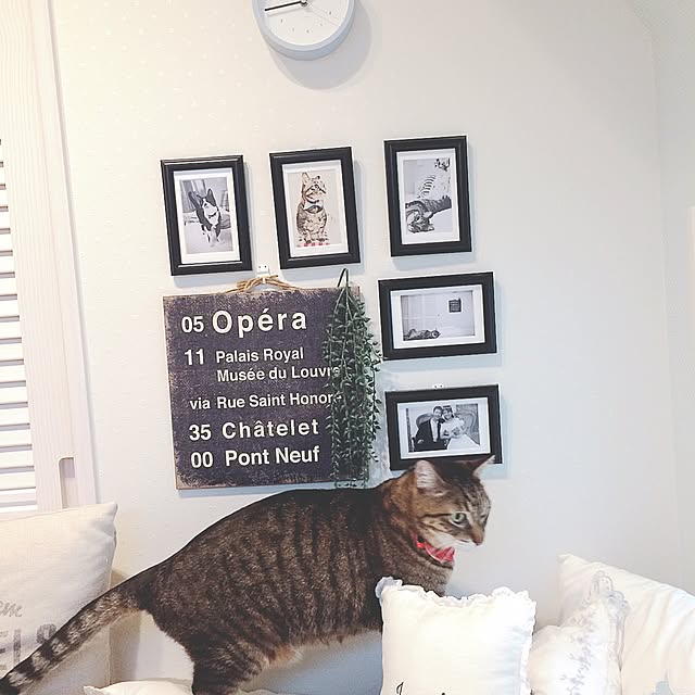 lovecatさんの実例写真