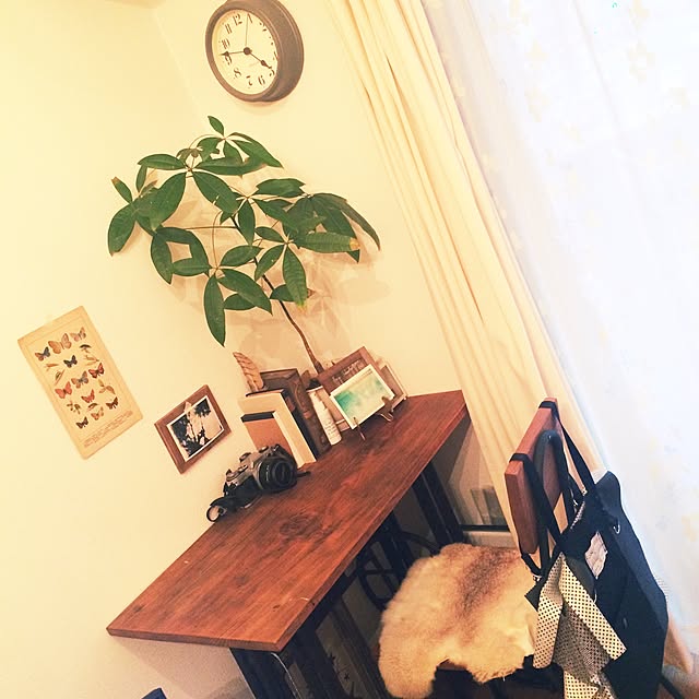 enuさんの実例写真