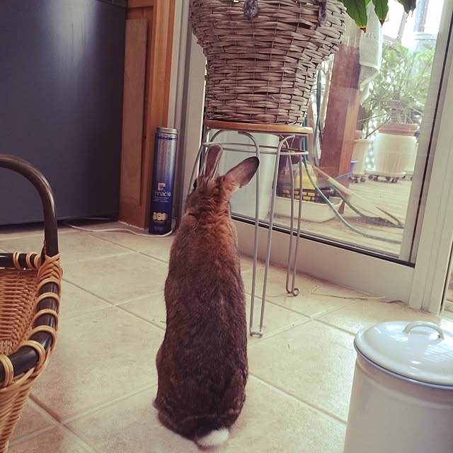 bergamotさんの実例写真