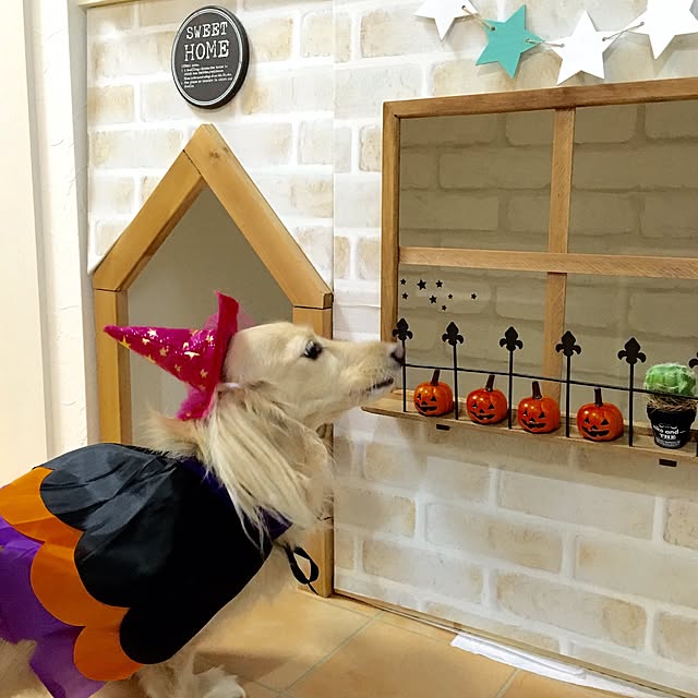 Erinさんの実例写真