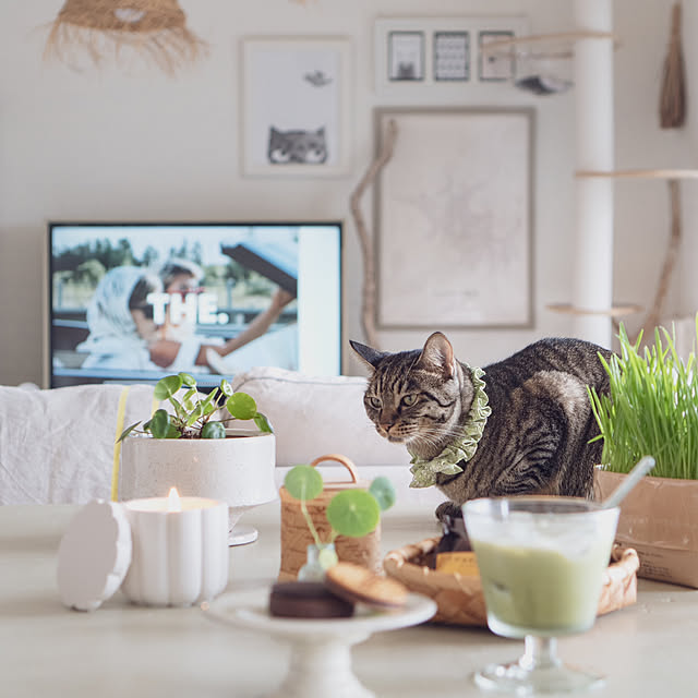 oliveさんの実例写真