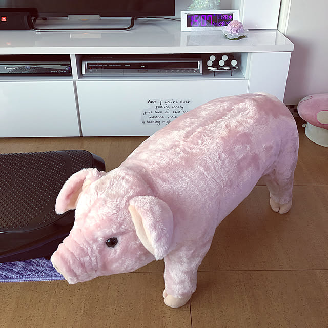 kanaさんの実例写真