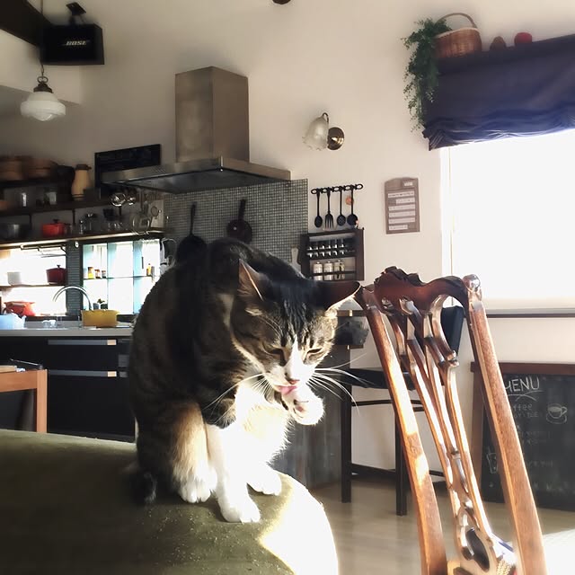 shio2772さんの実例写真