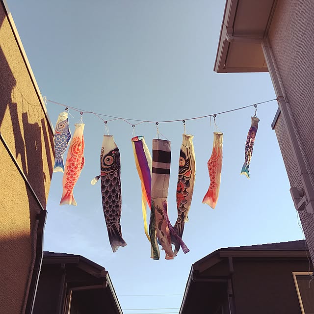 02564さんの実例写真