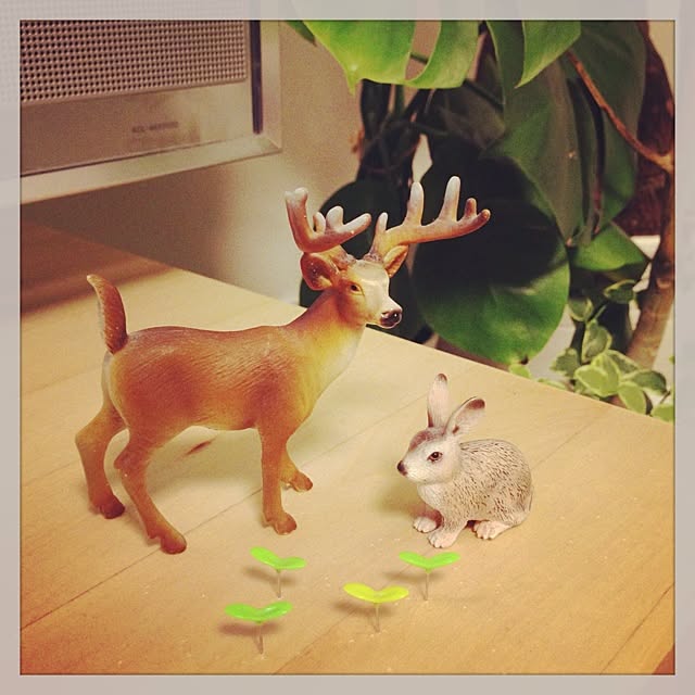 deerabbitさんの実例写真