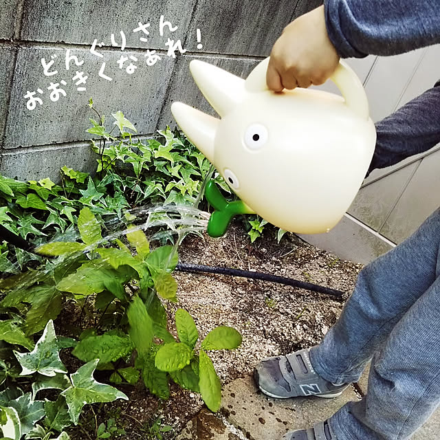 MMYSさんの実例写真