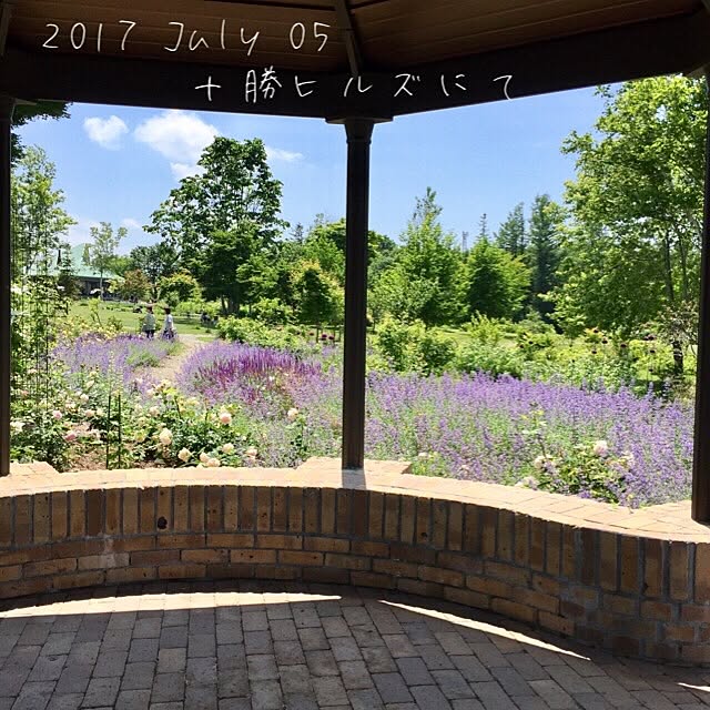 y.k1026erumamaさんの実例写真