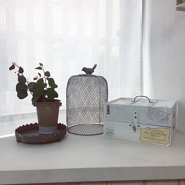 kusuttoさんの実例写真