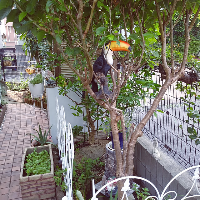 sacchanさんの実例写真