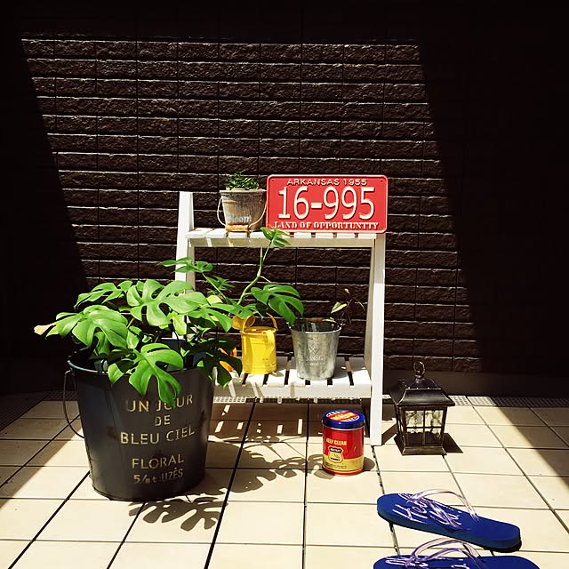 risaさんの実例写真
