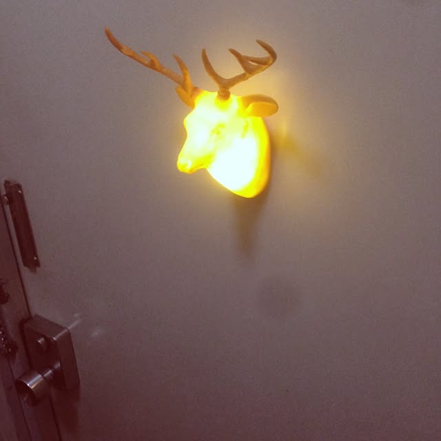 hironagaxさんの実例写真