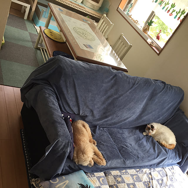 odekoさんの実例写真