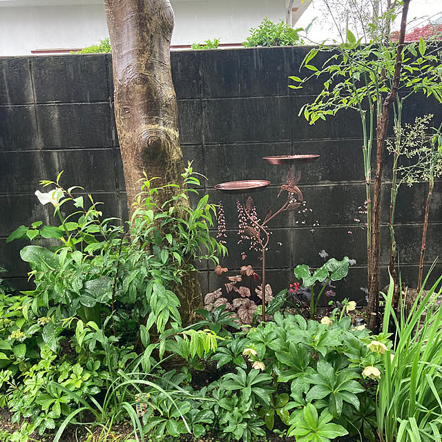 mamaさんの実例写真