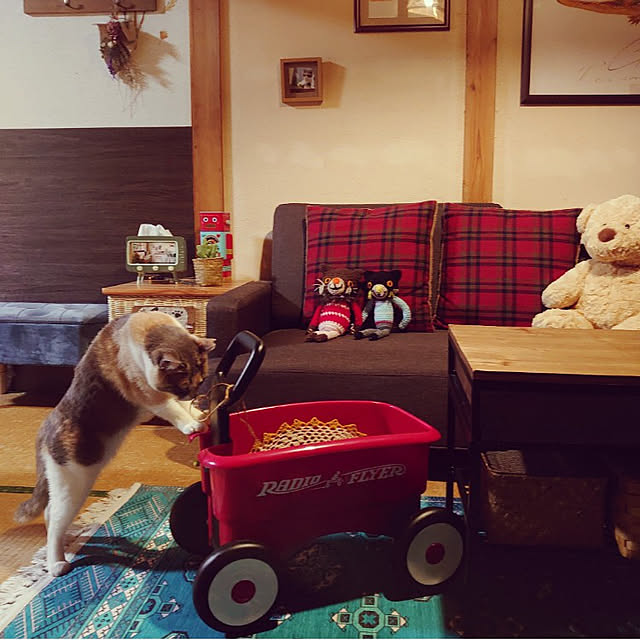 fukuさんの実例写真