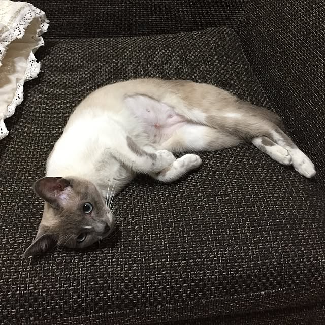 michikoさんの実例写真