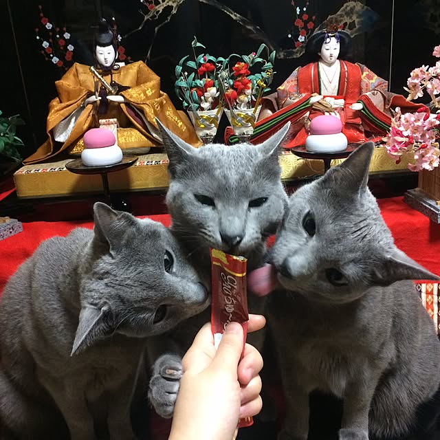 roshi3さんの実例写真