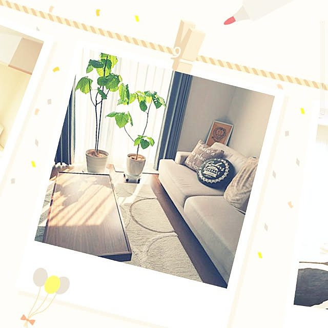 tan5さんの実例写真