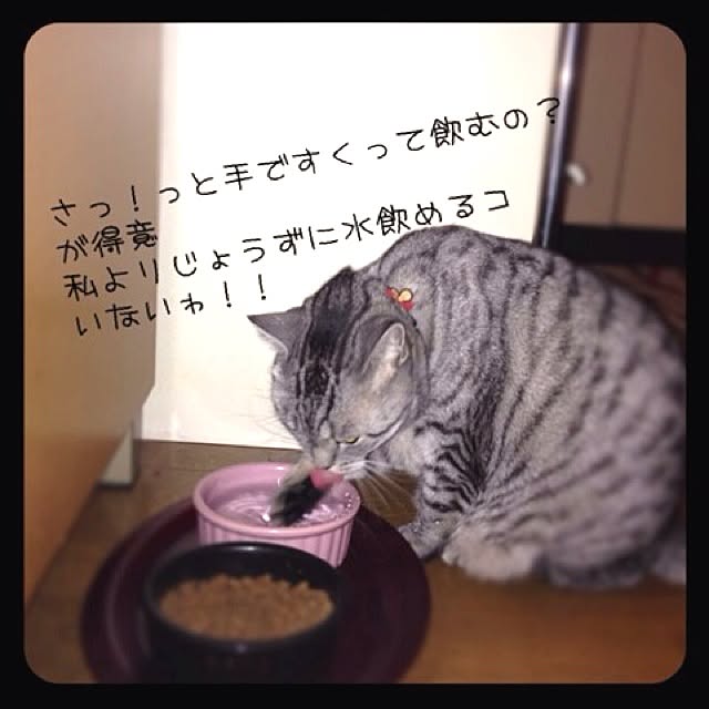 yuzuruさんの実例写真
