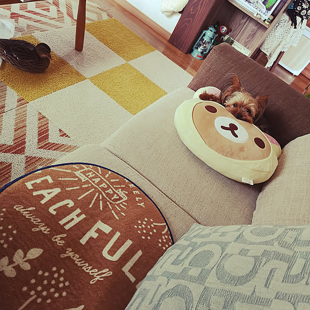 akiさんの実例写真