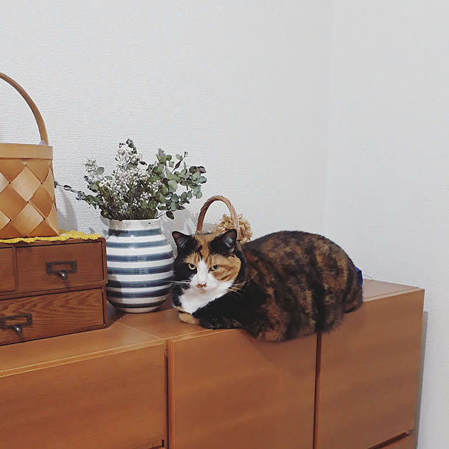 fumiyo.01さんの実例写真