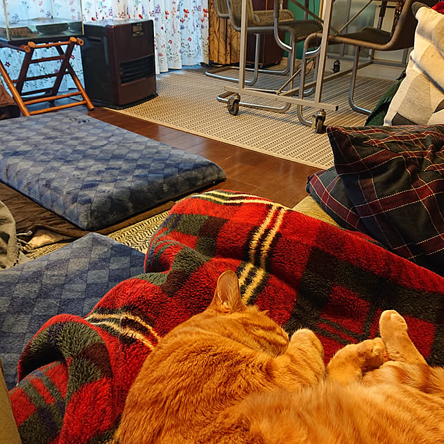 okyosan101さんの実例写真