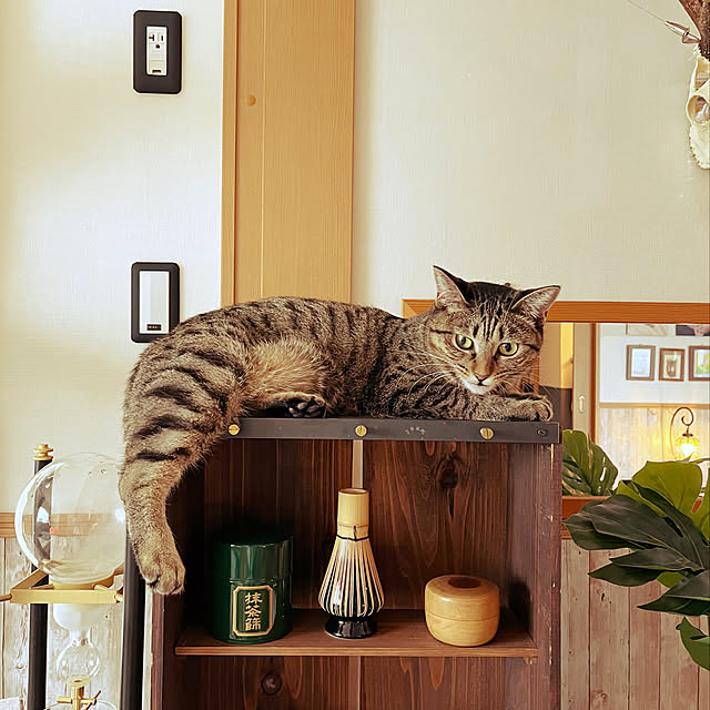 Mさんの実例写真