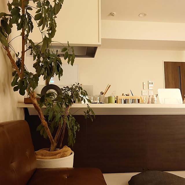 キッチン/観葉植物/ナチュラルのインテリア実例 - 2024-07-25 23:13:13
