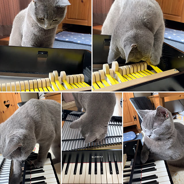 masaさんの実例写真
