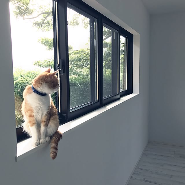 k...t...sさんの実例写真