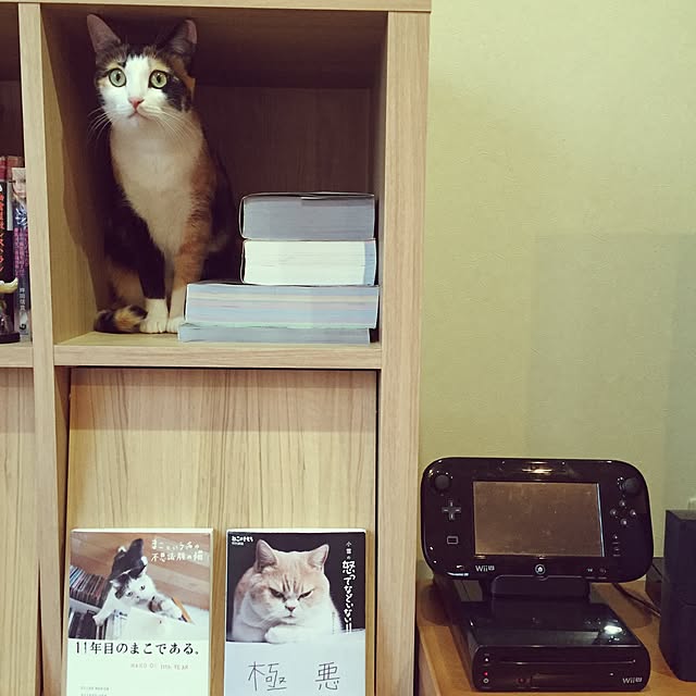 mayugonさんの実例写真