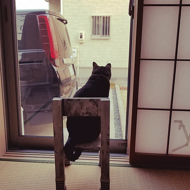 t-famさんの実例写真