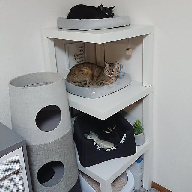 maikyさんの実例写真