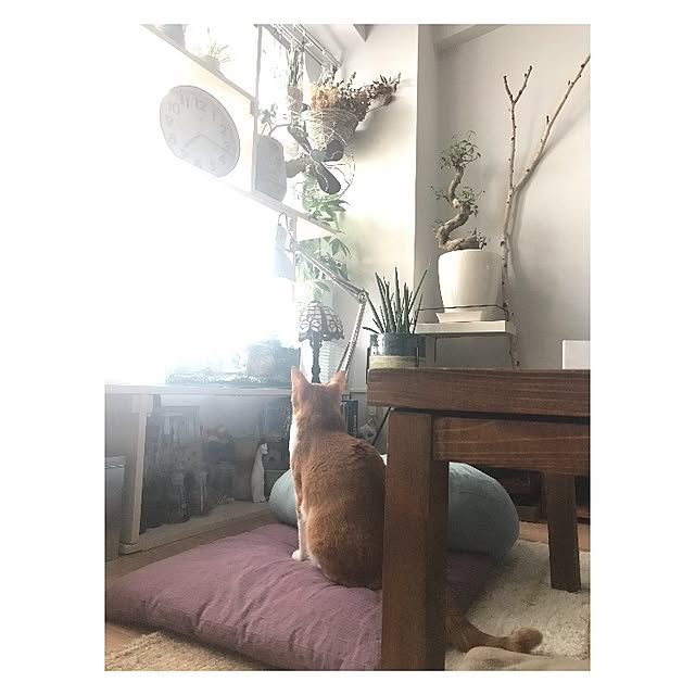 ktnさんの実例写真