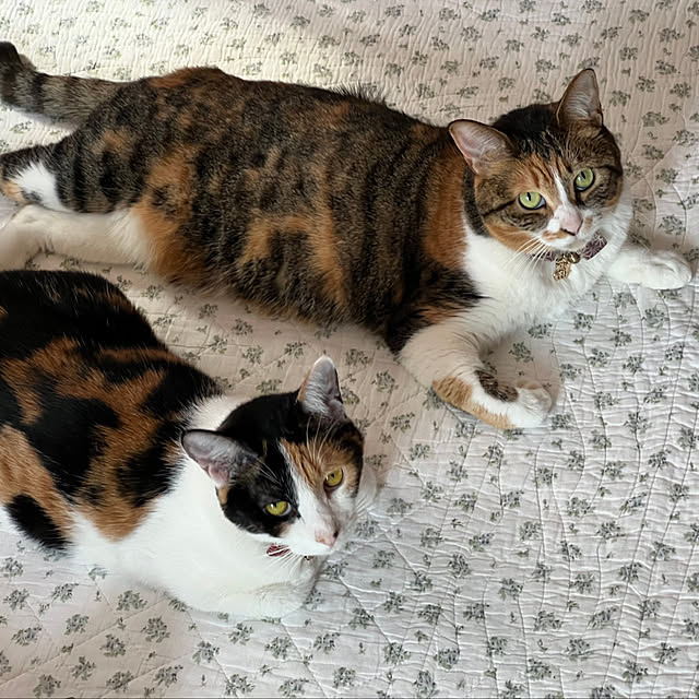 koitanさんの部屋