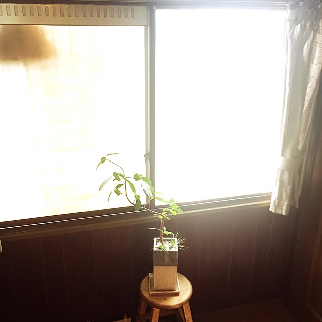 m217さんの実例写真