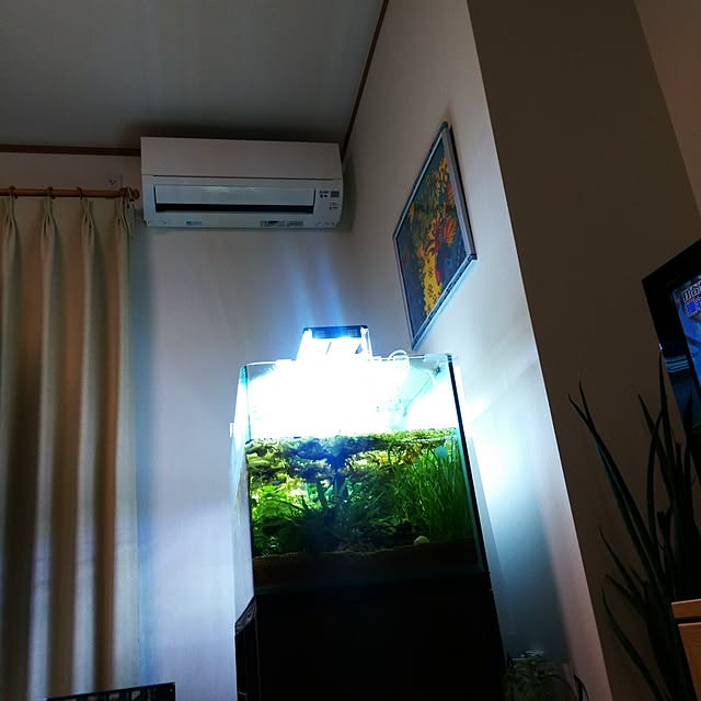 misakumaさんの実例写真